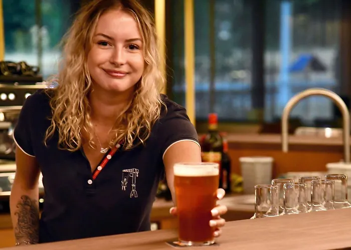 Ibis Budget Nantes Aéroport Rezé